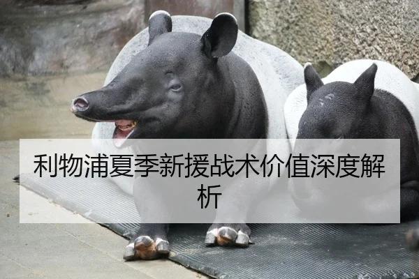 利物浦夏季新援战术价值深度解析